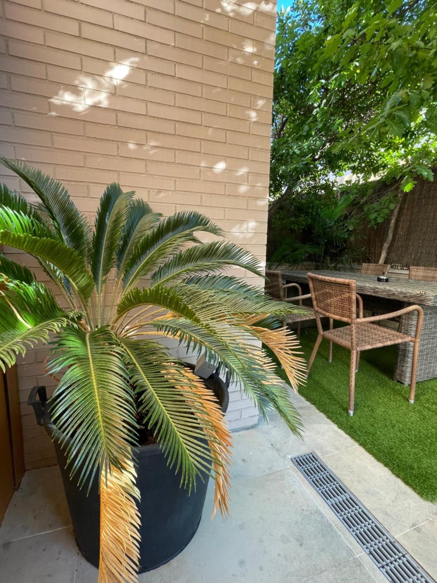 Valdevebas chalet con piscina en Madrid centro WIFI gratis Exterior foto